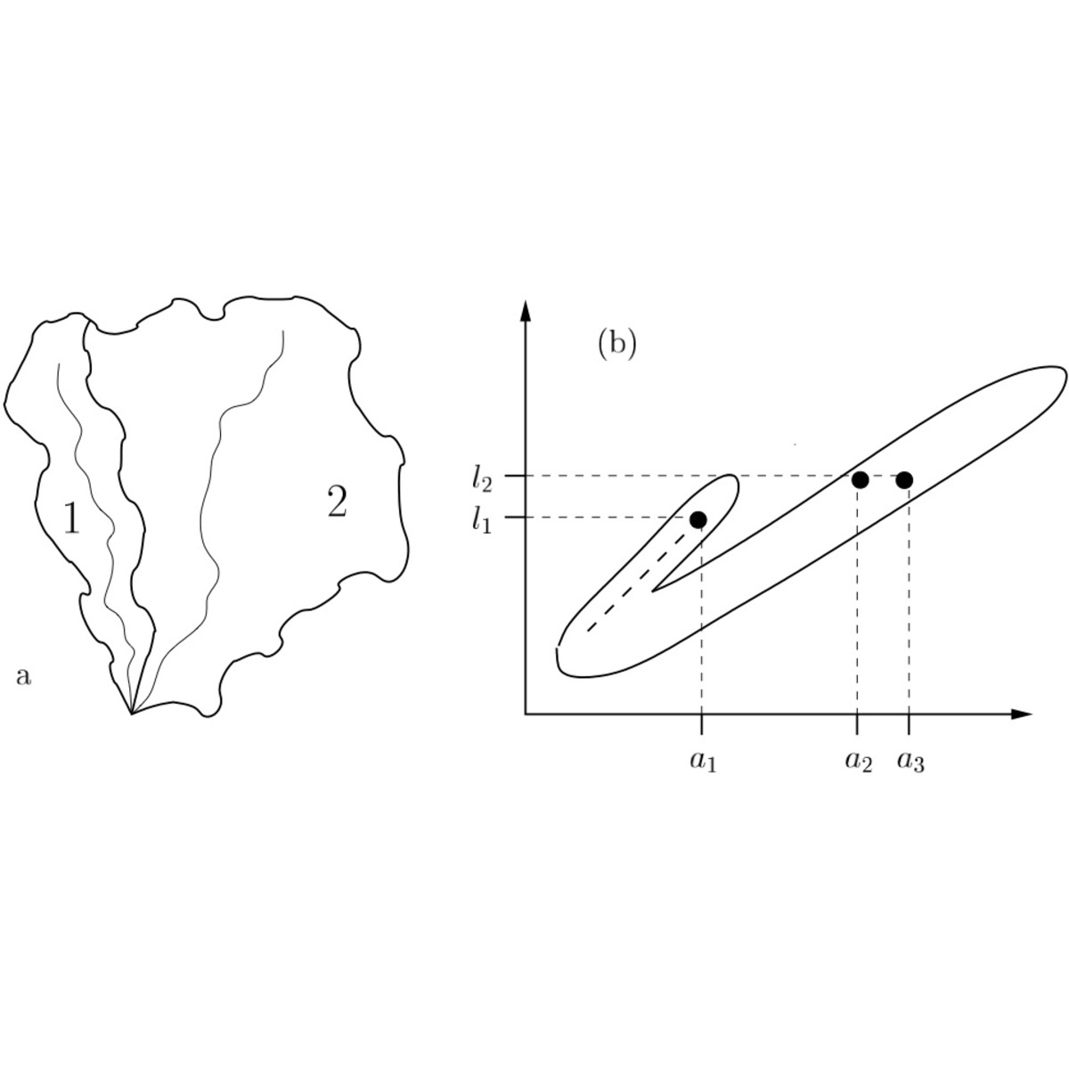 Soft Engineering In Rivers Graph Geometry of river networks. I. Scaling, fluctuations, and deviations ...